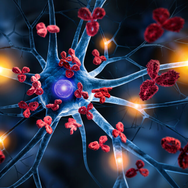 Medical illustration of immune activity around nerve cells