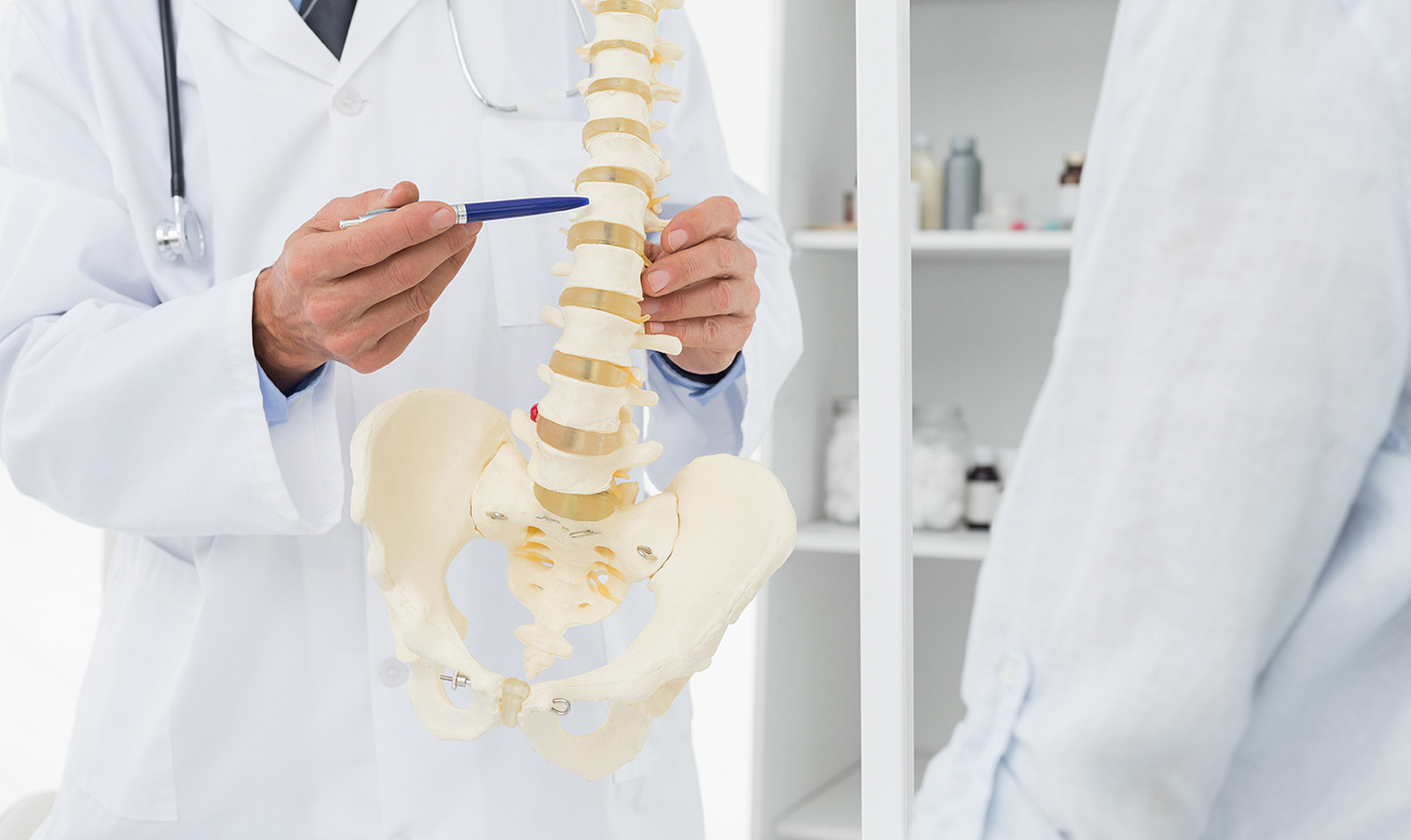 Clinician explaining spinal anatomy with a model during chiropractic care
